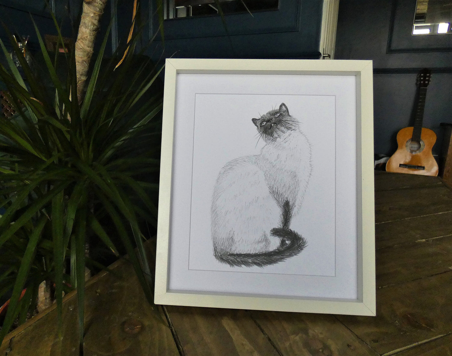 Original Graphite Pencil Drawing of a Siamese Ragdoll Cat, A4, At First Glance