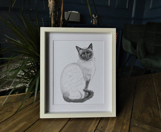 Original Graphite Pencil Drawing of a Siamese Ragdoll Cat, A4, That Look