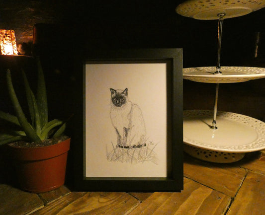 Little Siamese Cat Original Graphite Pencil Drawing