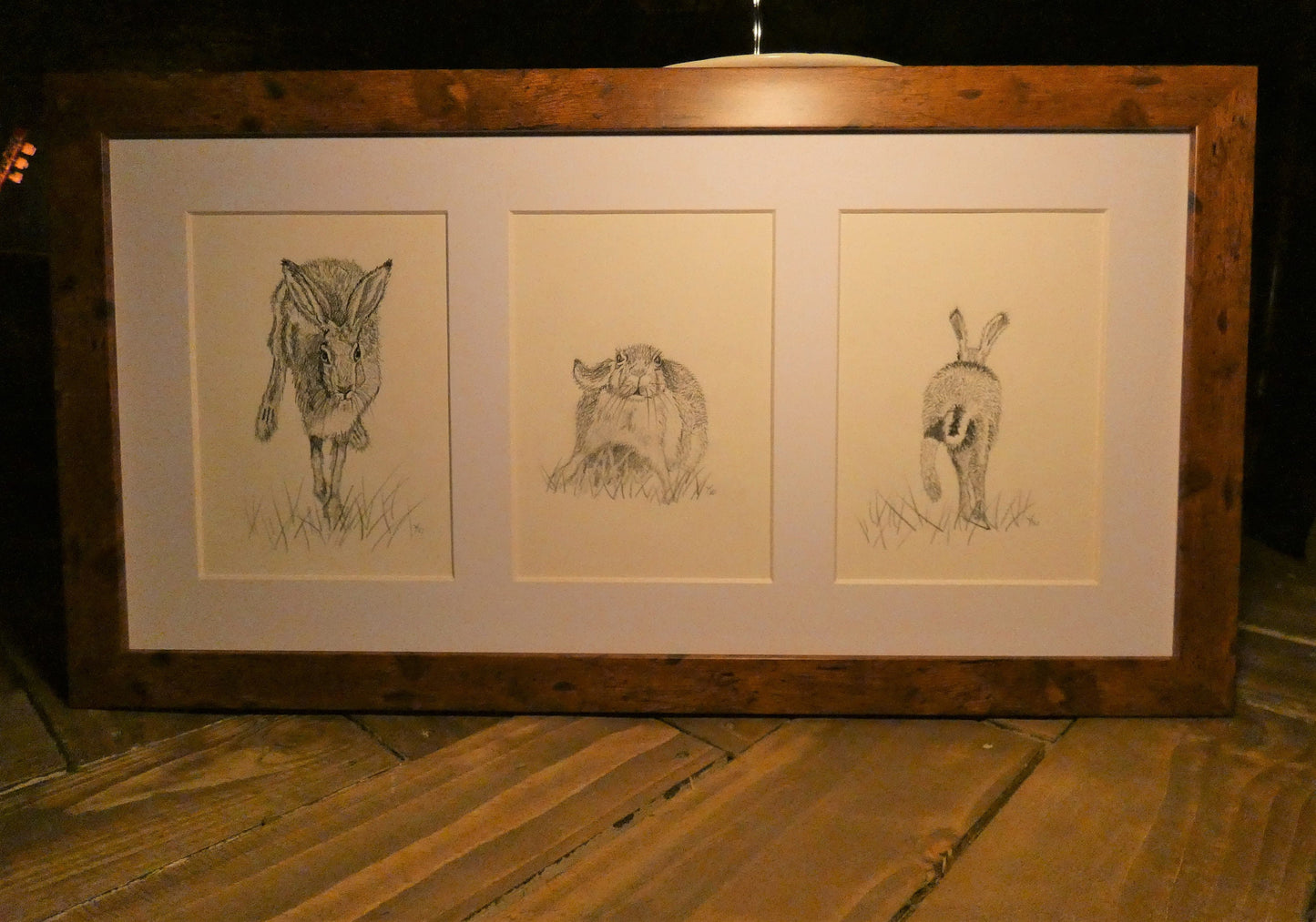 Three veiws of Hares, 3 Original Graphite Pencil Drawings