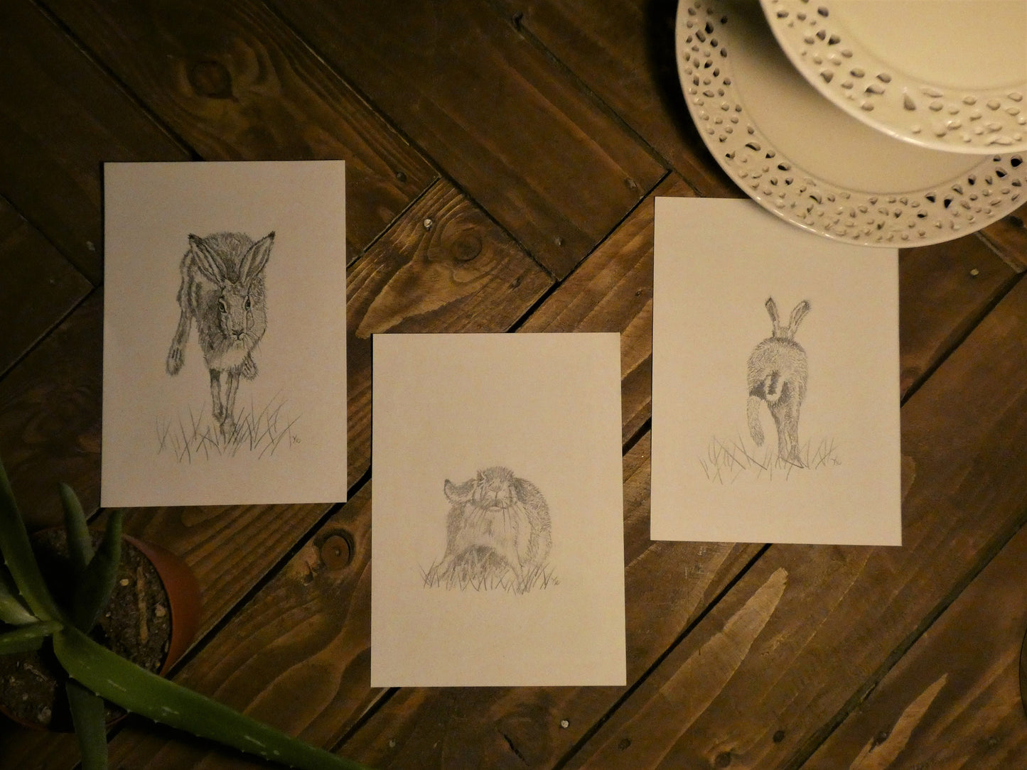 Three veiws of Hares, 3 Original Graphite Pencil Drawings