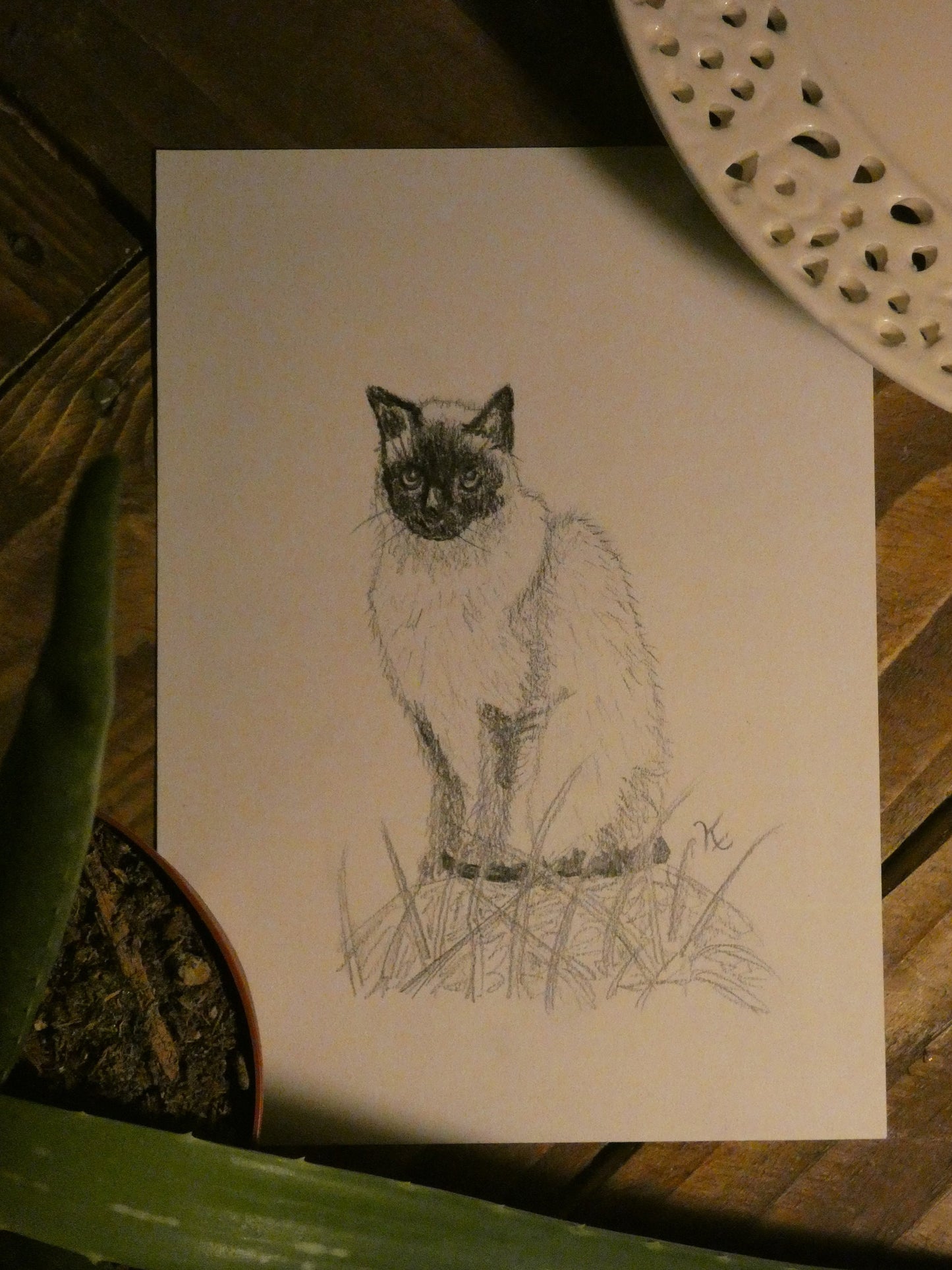 Little Siamese Cat Original Graphite Pencil Drawing