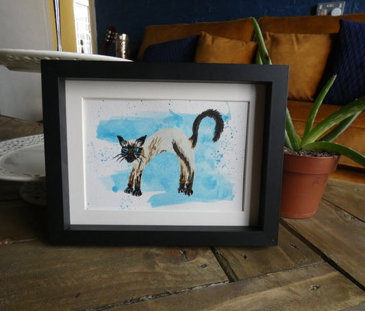 Scaredy Siamese Cat Original Watercolour Painting