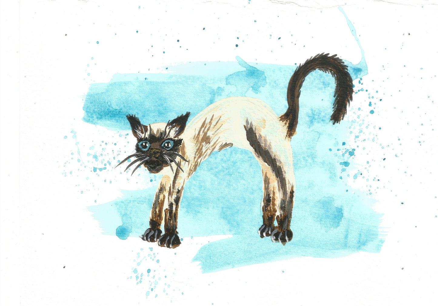 Scaredy Siamese Cat Original Watercolour Painting